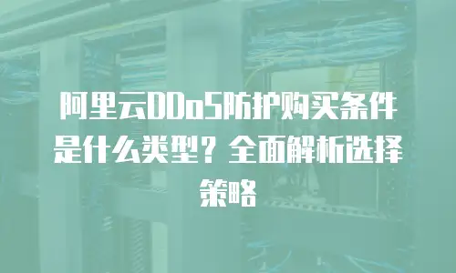 阿里云DDoS防护购买条件是什么类型？全面解析选择策略