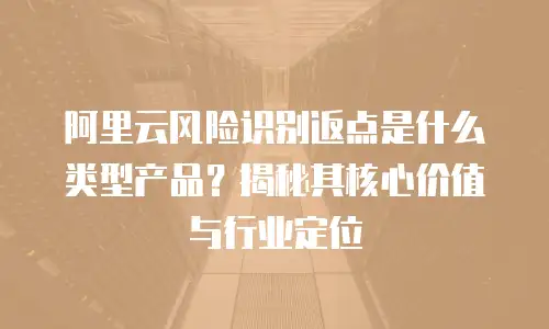阿里云风险识别返点是什么类型产品？揭秘其核心价值与行业定位