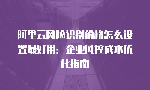 阿里云风险识别价格怎么设置最好用：企业风控成本优化指南