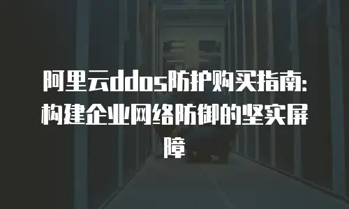 阿里云ddos防护购买指南：构建企业网络防御的坚实屏障