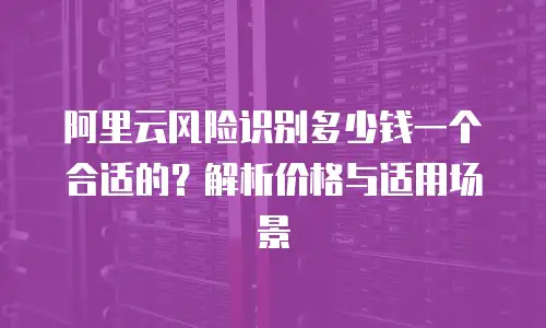 阿里云风险识别多少钱一个合适的？解析价格与适用场景