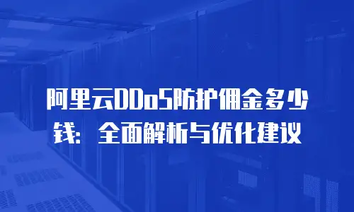 阿里云DDoS防护佣金多少钱：全面解析与优化建议