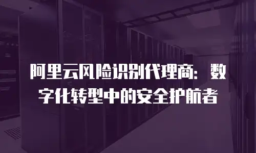 阿里云风险识别代理商：数字化转型中的安全护航者