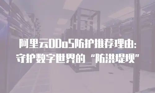 阿里云DDoS防护推荐理由：守护数字世界的“防洪堤坝”