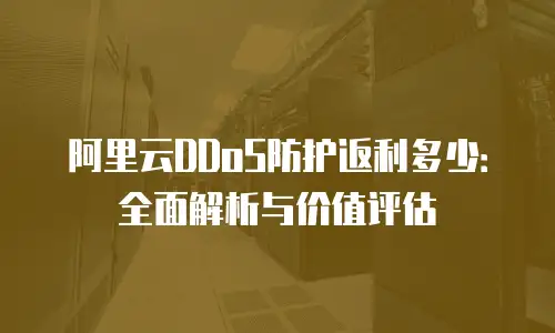 阿里云DDoS防护返利多少：全面解析与价值评估