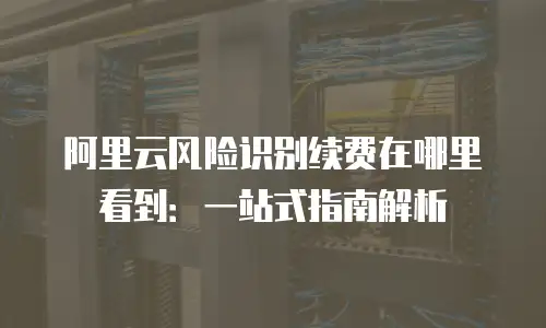 阿里云风险识别续费在哪里看到：一站式指南解析