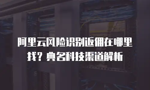 阿里云风险识别返佣在哪里找？典名科技渠道解析