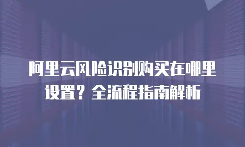阿里云风险识别购买在哪里设置？全流程指南解析