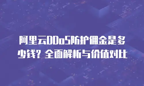 阿里云DDoS防护佣金是多少钱？全面解析与价值对比