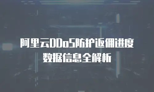 阿里云DDoS防护返佣进度数据信息全解析