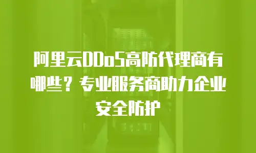 阿里云DDoS高防代理商有哪些？专业服务商助力企业安全防护