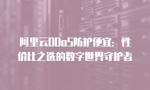 阿里云DDoS防护便宜：性价比之选的数字世界守护者