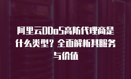 阿里云DDoS高防代理商是什么类型？全面解析其服务与价值