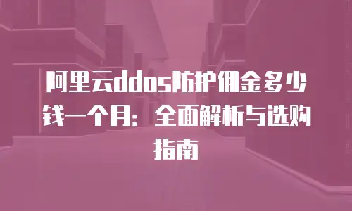 阿里云ddos防护佣金多少钱一个月：全面解析与选购指南