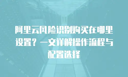 阿里云风险识别购买在哪里设置？一文详解操作流程与配置选择