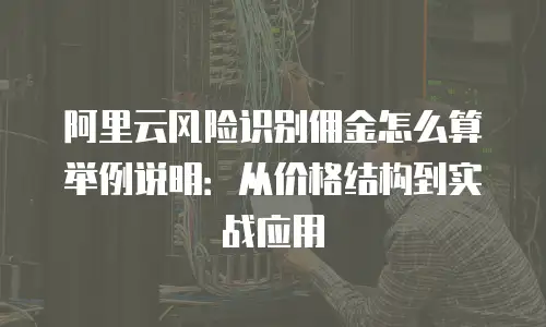 阿里云风险识别佣金怎么算举例说明：从价格结构到实战应用