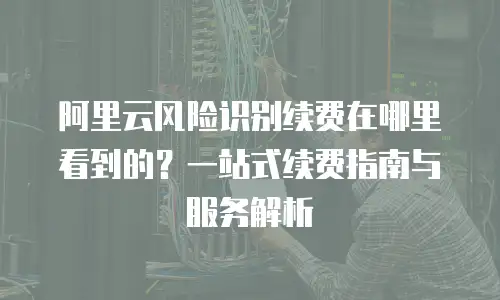 阿里云风险识别续费在哪里看到的？一站式续费指南与服务解析