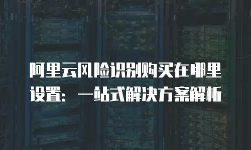 阿里云风险识别购买在哪里设置：一站式解决方案解析