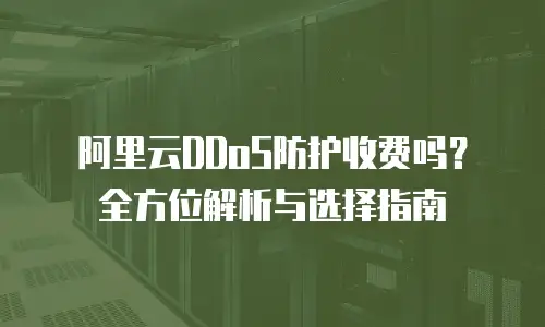 阿里云DDoS防护收费吗？全方位解析与选择指南