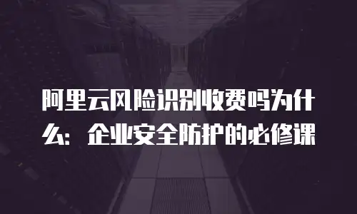 阿里云风险识别收费吗为什么：企业安全防护的必修课