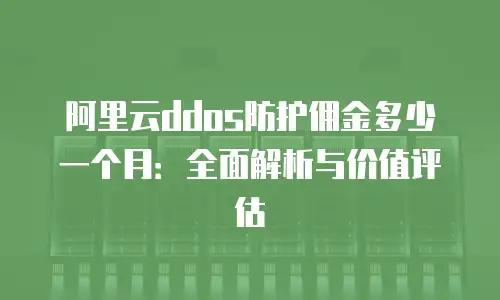 阿里云ddos防护佣金多少一个月：全面解析与价值评估