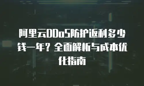 阿里云DDoS防护返利多少钱一年？全面解析与成本优化指南