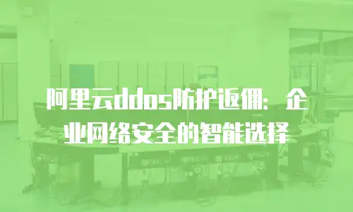 阿里云ddos防护返佣：企业网络安全的智能选择