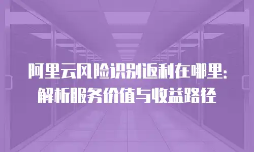 阿里云风险识别返利在哪里：解析服务价值与收益路径