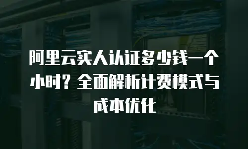 阿里云实人认证多少钱一个小时？全面解析计费模式与成本优化