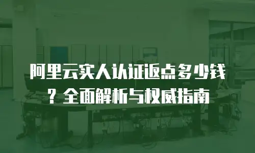 阿里云实人认证返点多少钱？全面解析与权威指南