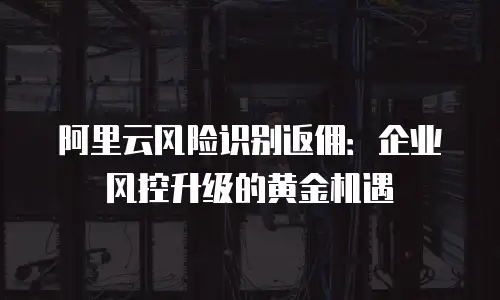 阿里云风险识别返佣：企业风控升级的黄金机遇
