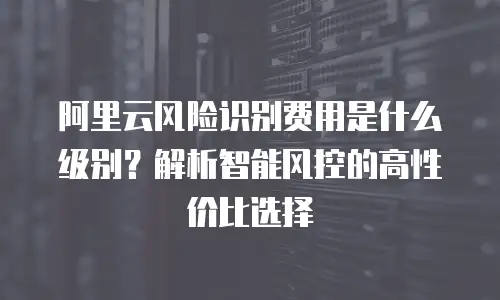 阿里云风险识别费用是什么级别？解析智能风控的高性价比选择