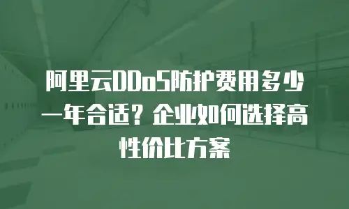 阿里云DDoS防护费用多少一年合适？企业如何选择高性价比方案