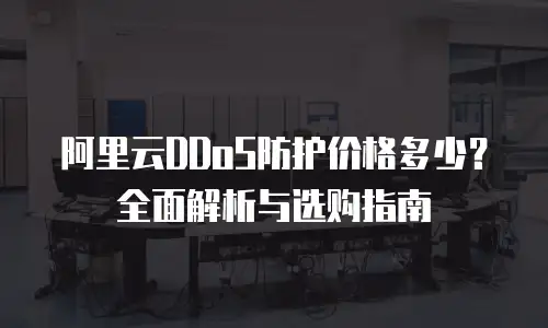 阿里云DDoS防护价格多少？全面解析与选购指南