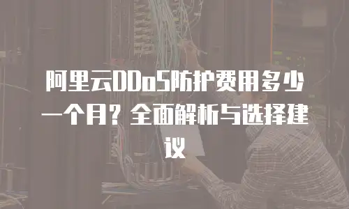 阿里云DDoS防护费用多少一个月？全面解析与选择建议