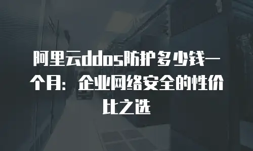 阿里云ddos防护多少钱一个月：企业网络安全的性价比之选