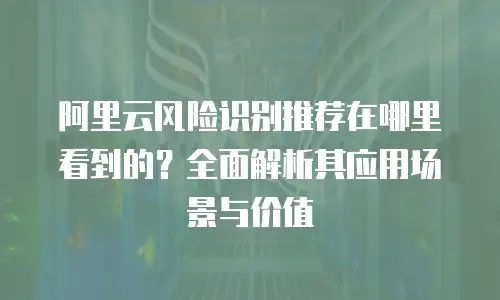阿里云风险识别推荐在哪里看到的？全面解析其应用场景与价值