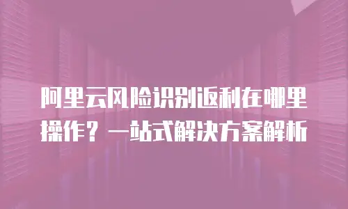 阿里云风险识别返利在哪里操作？一站式解决方案解析