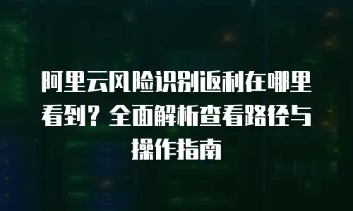 阿里云风险识别返利在哪里看到？全面解析查看路径与操作指南