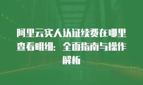 阿里云实人认证续费在哪里查看明细：全面指南与操作解析