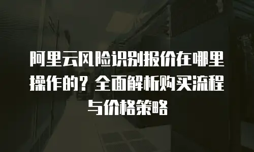 阿里云风险识别报价在哪里操作的？全面解析购买流程与价格策略