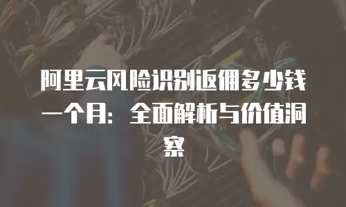 阿里云风险识别返佣多少钱一个月：全面解析与价值洞察