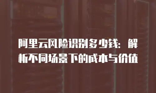 阿里云风险识别多少钱：解析不同场景下的成本与价值