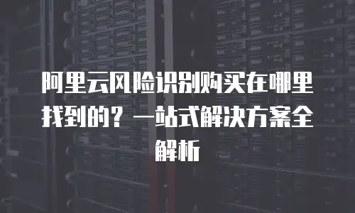 阿里云风险识别购买在哪里找到的？一站式解决方案全解析
