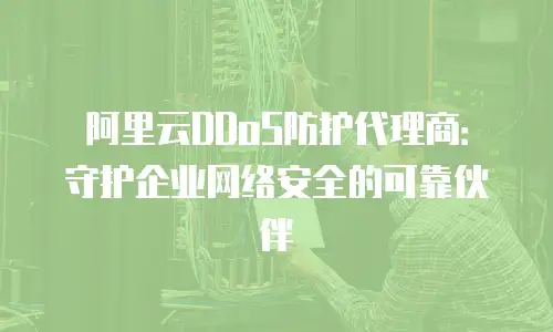 阿里云DDoS防护代理商：守护企业网络安全的可靠伙伴