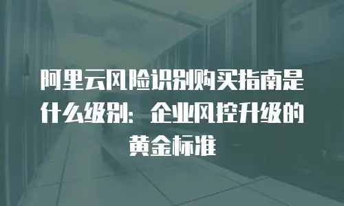 阿里云风险识别购买指南是什么级别：企业风控升级的黄金标准