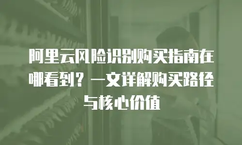 阿里云风险识别购买指南在哪看到？一文详解购买路径与核心价值