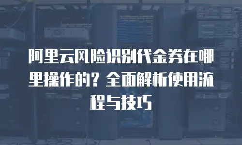 阿里云风险识别代金券在哪里操作的？全面解析使用流程与技巧