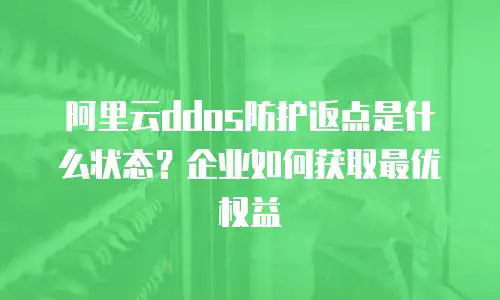 阿里云ddos防护返点是什么状态？企业如何获取最优权益
