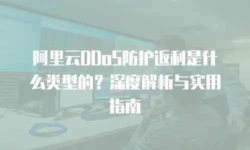 阿里云DDoS防护返利是什么类型的？深度解析与实用指南